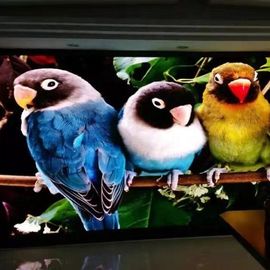 Màn hình tường Led siêu mỏng Hiển thị bảng quảng cáo video đủ màu P1.667 P1.25 RGB trong nhà